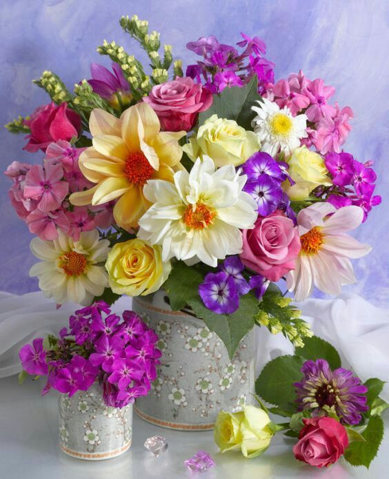 Cajas de flores